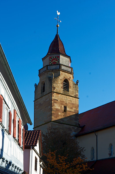 Stiftung_Stadtkirche_13.10.24_0041.NEF.p